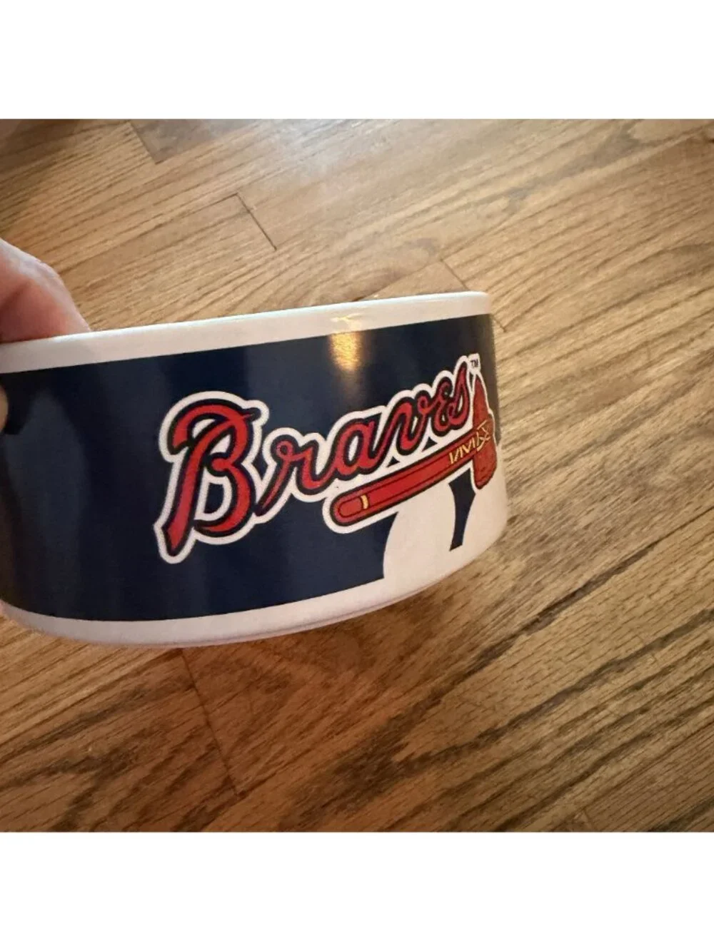 Atlanta Braves Baseball Dog Cat Water Food Bowl